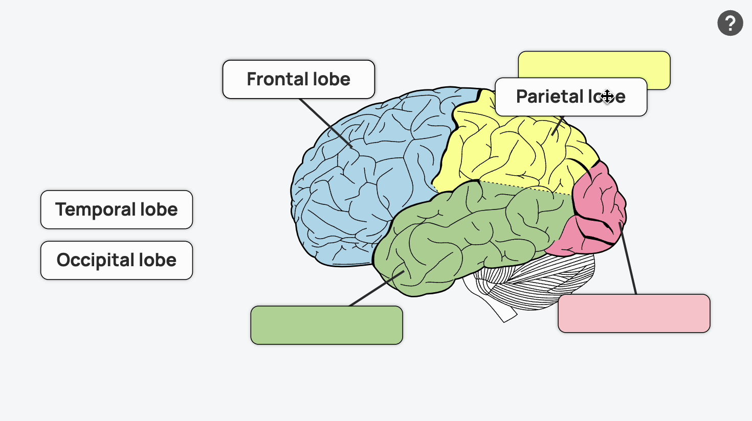 Draggable activity example